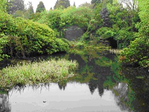 Ross Hall Park - GEN 12-05-09 Fig 2