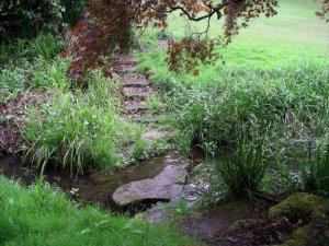 Site 02 - Ponsbourne 3 - Stream IMGP2402