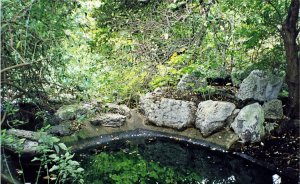 SoM05-03 - St James's Park Island