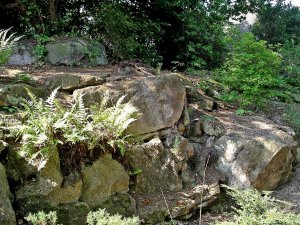 5-1-09-2 - Coombe Wood Pathway 1647e