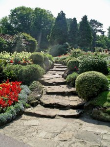 5-9-09-3 - Coombe Wood Mound 1656e