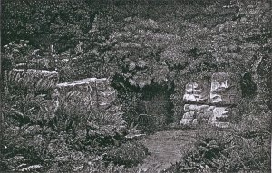 5-1-17-1 - Danesbury Fernery 1881