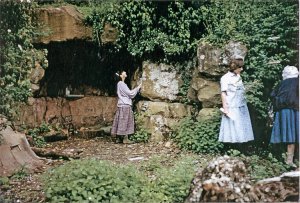 5-1-17-2 - Danesbury Fernery 1995