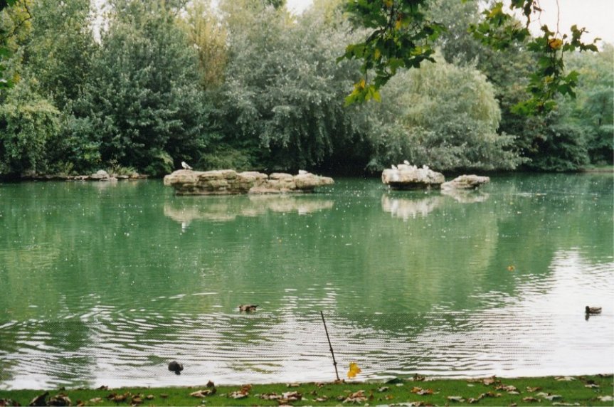 25-01 - St James Park Duck Island