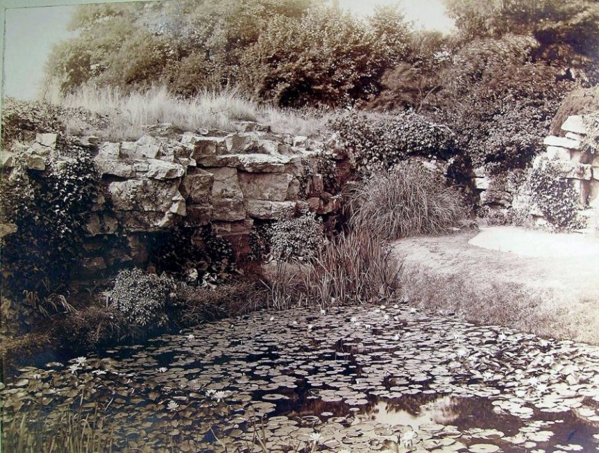 4-2-6-04 - Insole Court - Rockery by The Leat - A Salisbury