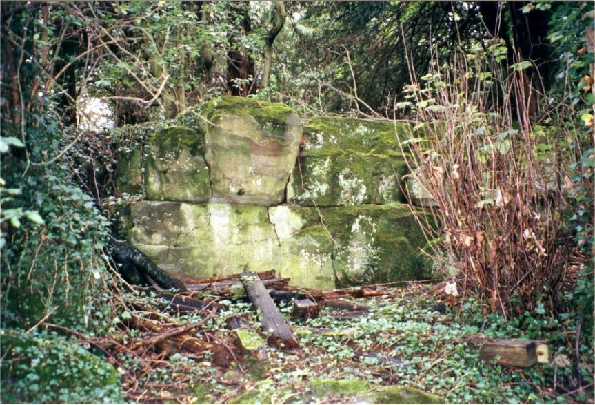 5-10-20-02 - Berry Hill Rockery 3