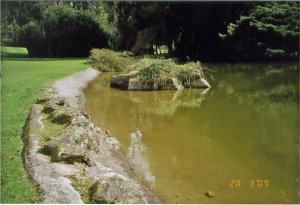 5-1-21-04 - Westonbirt - E J - Lake 1
