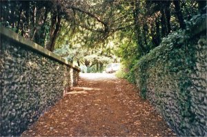 5-10-24-11 - Welbeck Path to Pool