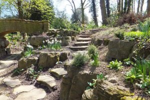 5-1-25-5 - Elmsotone Court - Steps - DSCF1368