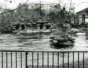 5-1-26-1 - London Zoo Sea Lion Pond
