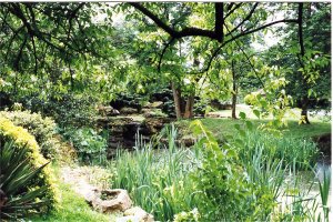 5-10-27-6 - Aldenham Poolside 3