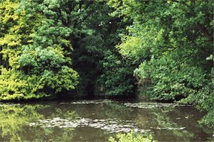 5-10-27-7 - Aldenham Boathouse 2