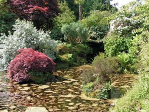 4-2-8-03 - Mount Stuart - Rock Garden GAlcorn - PICT1572e