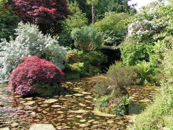 4-2-8-03 - Mount Stuart - Rock Garden GAlcorn - PICT1572e