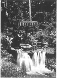 4-2-8-04 - Ballimore Mawson - Glen