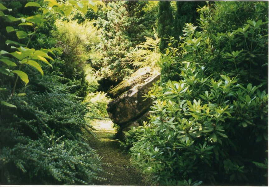 5-10-36-5 - Bearwood Outcrop