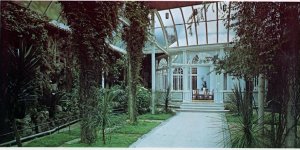 5-10-37-05 - Juniper Hill Winter Garden