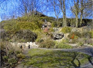 5-10-39-4 - Burslem Cascade 2002 JT