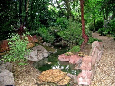 1-5-16-1 - Egham Dell - Bridge and Path