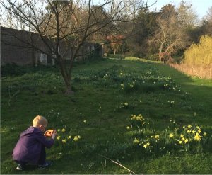 5-10-41-05 - Lamberhurst - Walled Garden