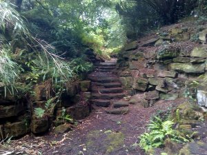 5-10-41-09 - Lamberhurst - Rock Garden Steps 1