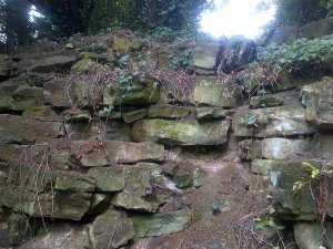 5-10-41-10 - Lamberhurst - Rock Garden Cliff