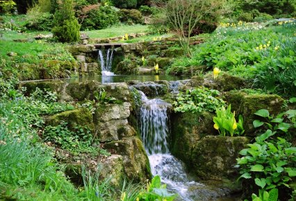 1-5-26-1 - Abbotswood Double Waterfall