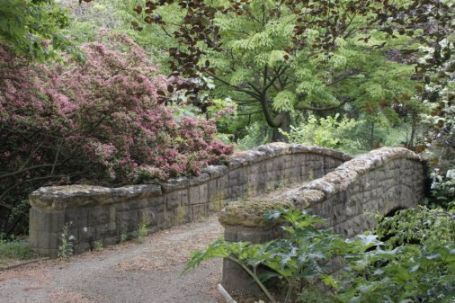 1-5-30-1 - Buckingham Palace - Bridge Large