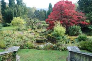 141107 - Abberley Hall - Pool from Terrace - MA DSC_0129