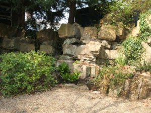 5-1-44-04 - Bromley Gardens - Fernery