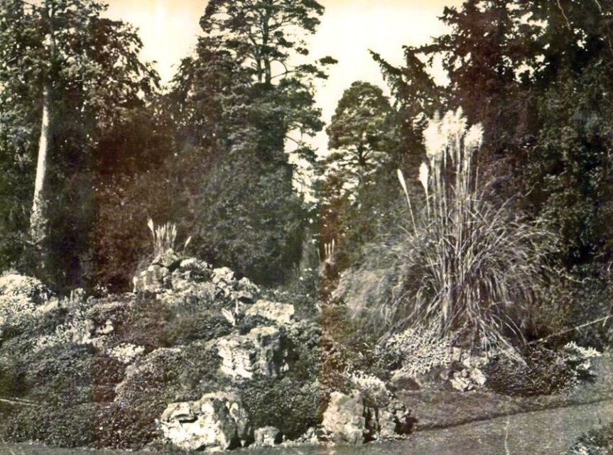 5-10-55-01 - Bayfordbury Rock Garden