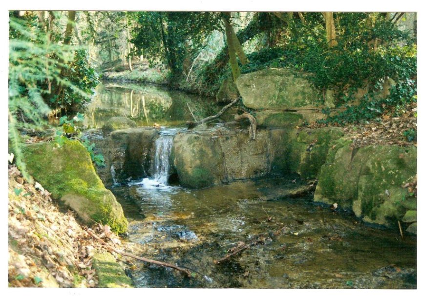 5-1-57 - Carpenders Cascade - N Hamilton