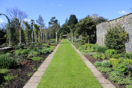 170804 - Dyffryn - Walk and Pergola in Walled Rose Garden - D Edmunds _MG_2110