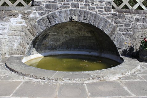 170807 - Dyffryn - Li.ly Tank Garden - D Edmunds _MG_2117