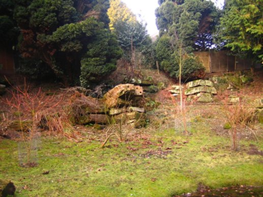 5-20-62-09 - Frog Stone